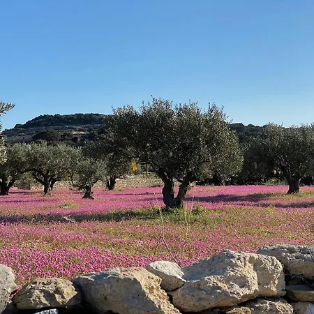 Holiday home Alyki Sea View Parikia (Paros)