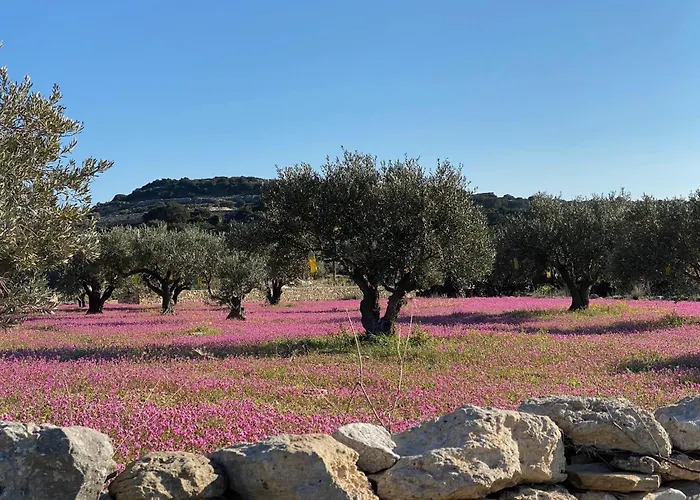Casa vacanze Alyki Sea View Paros Alikí